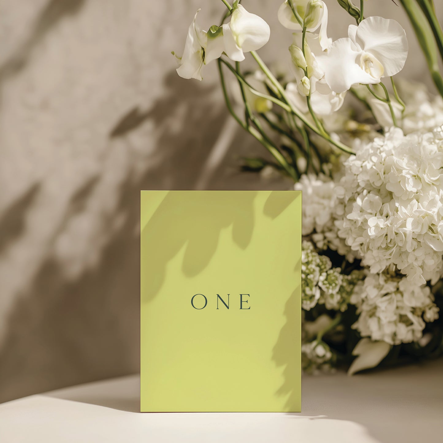
                  
                    Classico - Table Numbers
                  
                