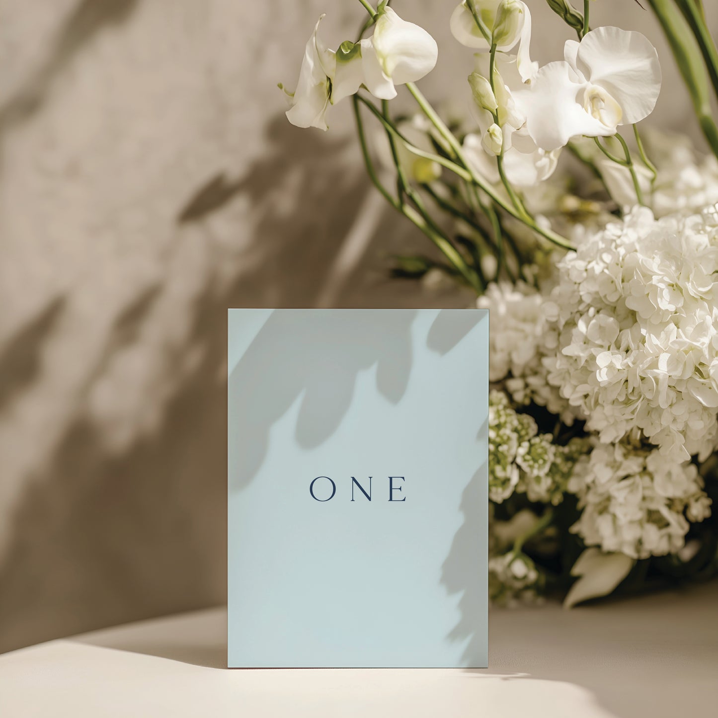 
                  
                    Classico - Table Numbers
                  
                