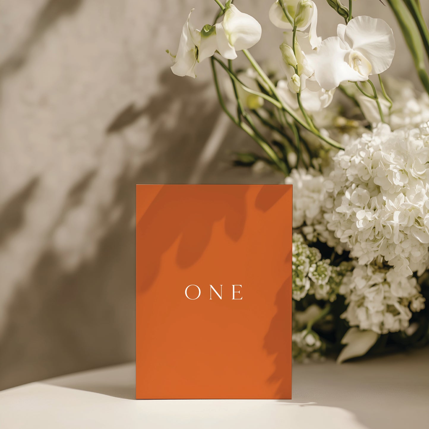 
                  
                    Classico - Table Numbers
                  
                